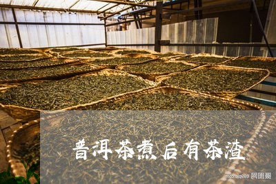 普洱茶煮后有茶渣/2023041117270