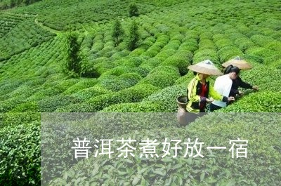 普洱茶煮好放一宿/2023031691693