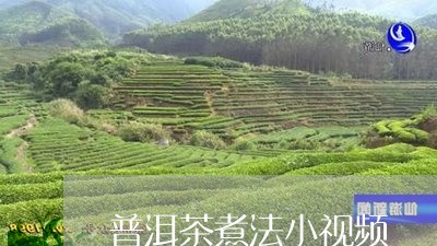 普洱茶煮法小视频/2023040101484