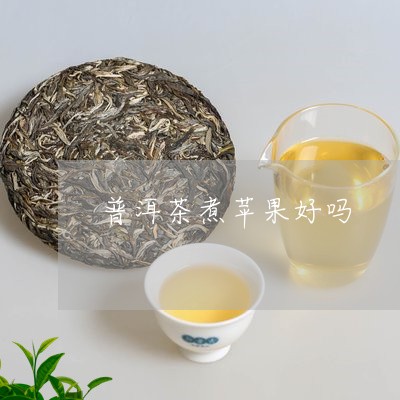 普洱茶煮苹果好吗/2023041074926