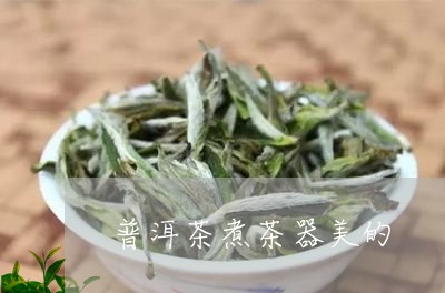 普洱茶煮茶器美的/2023041023613