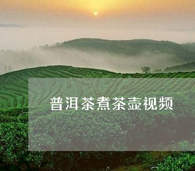 普洱茶煮茶壶视频/2023041191704