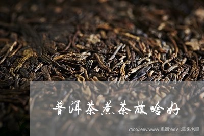 普洱茶煮茶放啥好/2023041395049