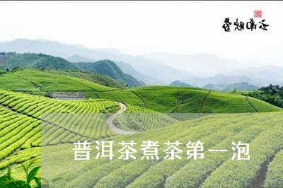 普洱茶煮茶第一泡/2023040163894