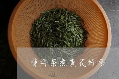 普洱茶煮黄芪好吗/2023041345138