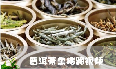 普洱茶熏猪蹄视频/2023041019480