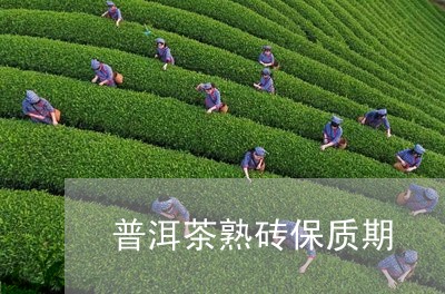 普洱茶熟砖保质期/2023033022704