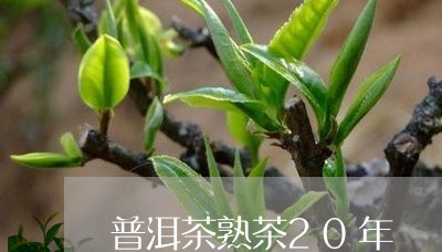 普洱茶熟茶20年/2023041187581