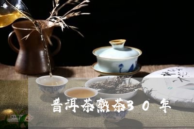 普洱茶熟茶30年/2023041193835