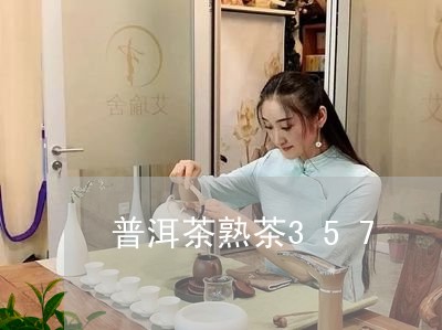 普洱茶熟茶357/2023031773924