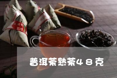 普洱茶熟茶48克/2023041130705