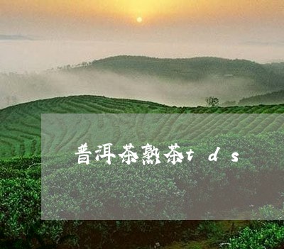 普洱茶熟茶tds/2023031700591