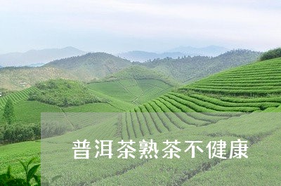 普洱茶熟茶不健康/2023031634726