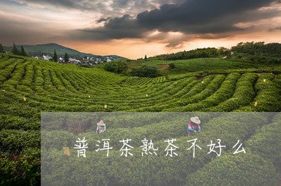 普洱茶熟茶不好么/2023041303817