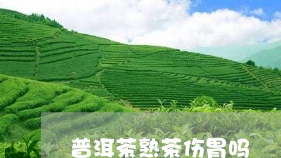 普洱茶熟茶伤胃吗/2023031641625