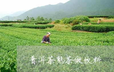 普洱茶熟茶做饮料/2023041173916