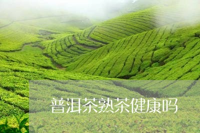 普洱茶熟茶健康吗/2023031681715