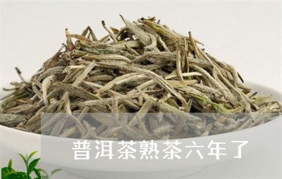 普洱茶熟茶六年了/2023040127278