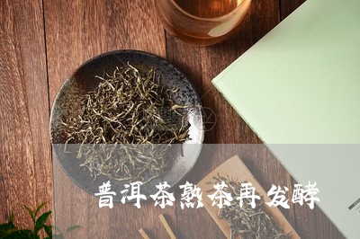 普洱茶熟茶再发酵/2023031681934