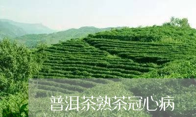 普洱茶熟茶冠心病/2023031657481