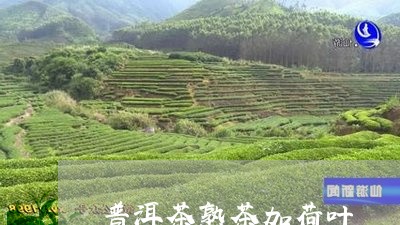 普洱茶熟茶加荷叶/2023041133025