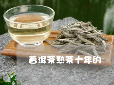 普洱茶熟茶十年的/2023033108470