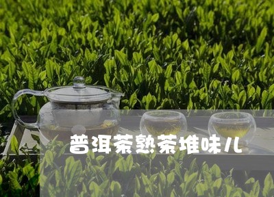 普洱茶熟茶堆味儿/2023041141736