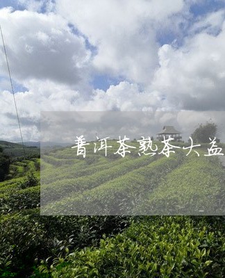 普洱茶熟茶大益茶/2023031566271