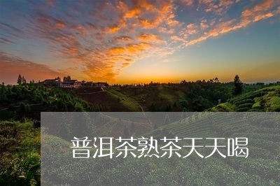 普洱茶熟茶天天喝/2023041303915