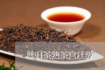 普洱茶熟茶宫廷级/2023041165157