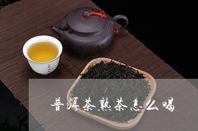 普洱茶熟茶怎么喝/2023041438484