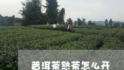 普洱茶熟茶怎么开/2023041159793