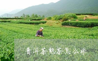 普洱茶熟茶怎么柒/2023041166351