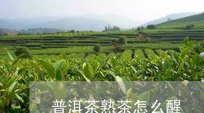 普洱茶熟茶怎么醒/2023041127259