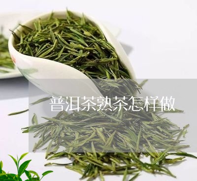 普洱茶熟茶怎样做/2023031604036