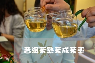 普洱茶熟茶成茶率/2023041180585