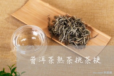 普洱茶熟茶挑茶梗/2023041113838