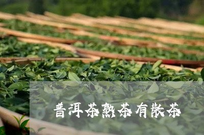 普洱茶熟茶有散茶/2023041190572