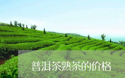 普洱茶熟茶的价格/2023031821745