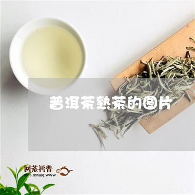 普洱茶熟茶的图片/2023031755151