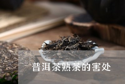 普洱茶熟茶的害处/2023031661504