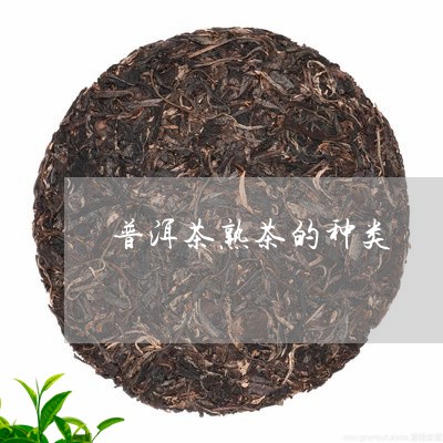 普洱茶熟茶的种类/2023041383837