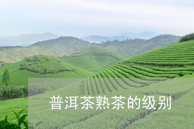 普洱茶熟茶的级别/2023031730815