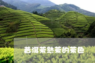 普洱茶熟茶的茶色/2023041177283