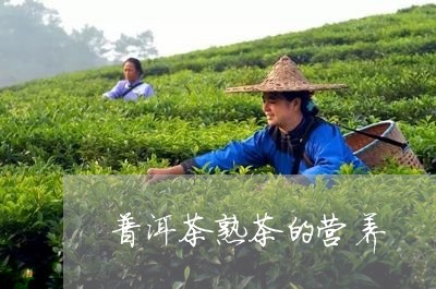 普洱茶熟茶的营养/2023041129504