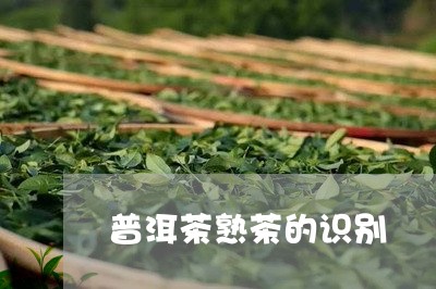 普洱茶熟茶的识别/2023031635039