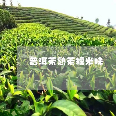 普洱茶熟茶糯米味/2023041174959