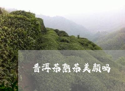 普洱茶熟茶美颜吗/2023041153948