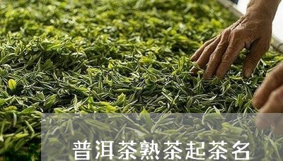 普洱茶熟茶起茶名/2023041162685