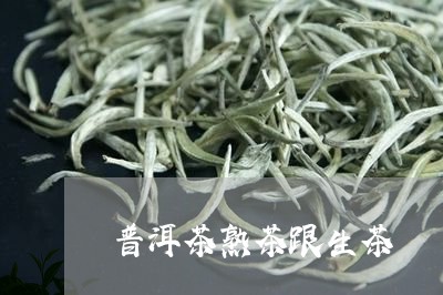 普洱茶熟茶跟生茶/2023041196261